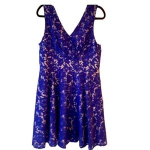 Eliza J Royal Blue Lace Fit & Flare Sleeveless Party Cocktail Line